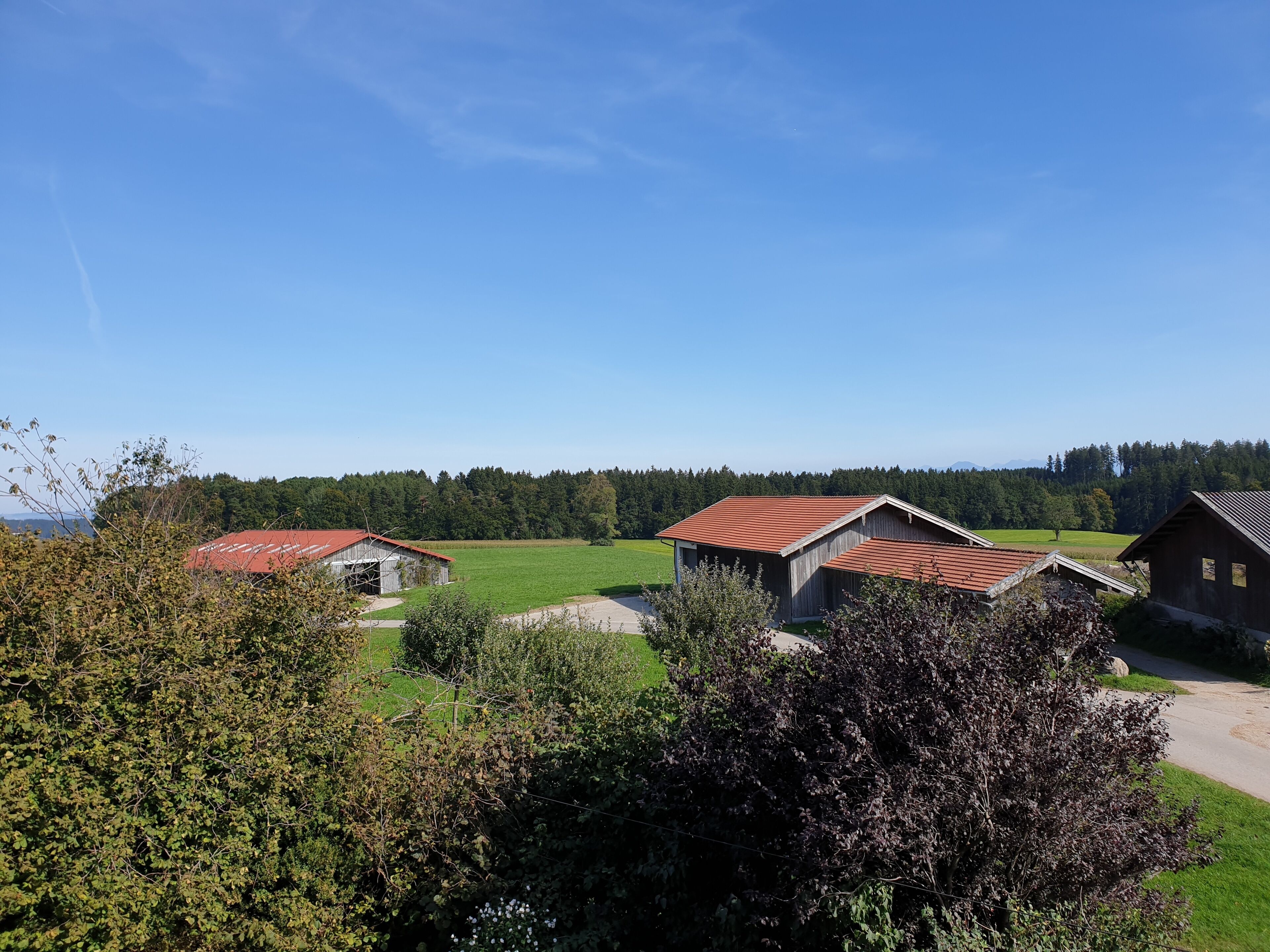 A rural landscape with barns and open fields.