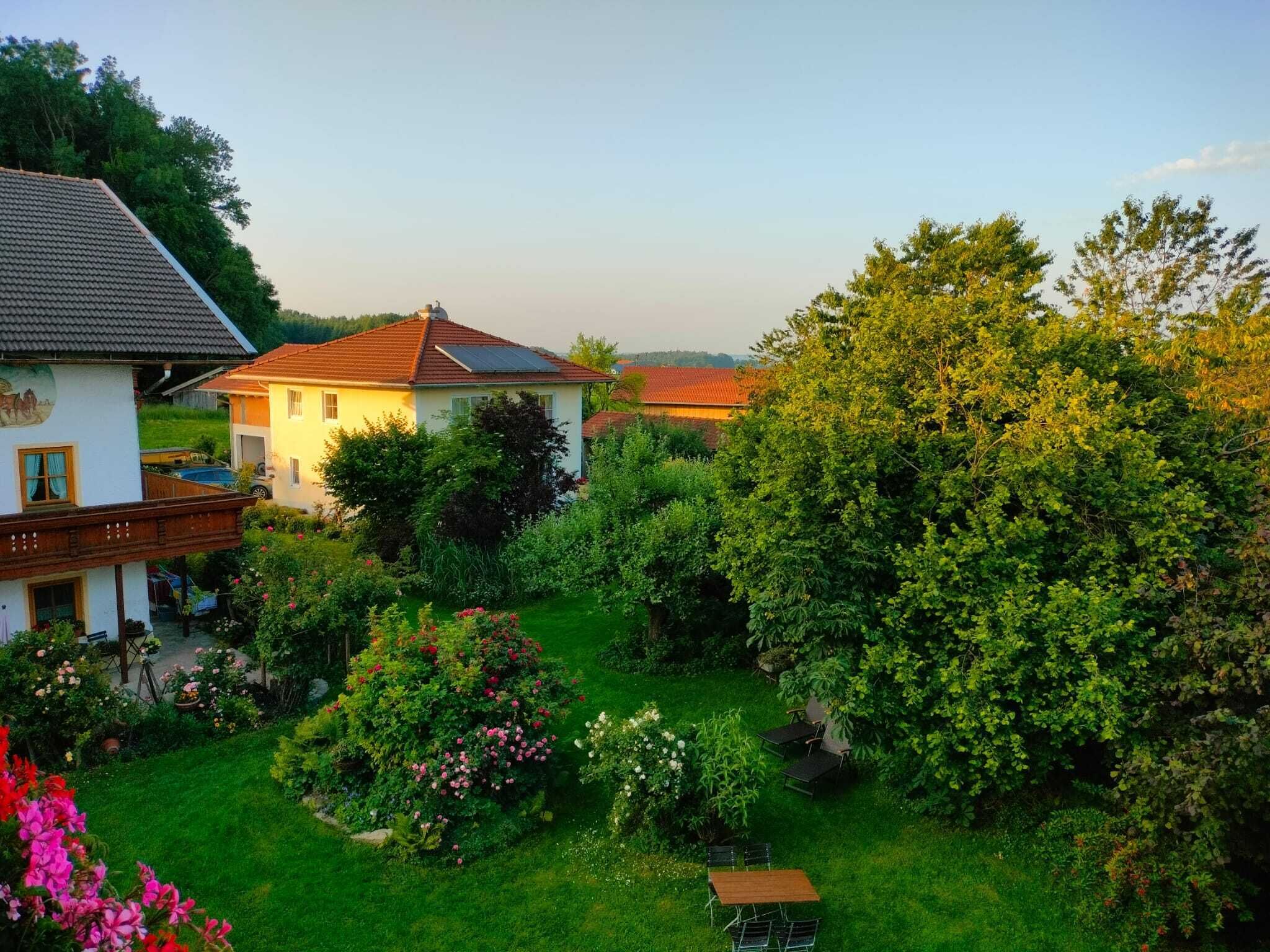 A residential area with houses, a garden with flowers, and a large tree.