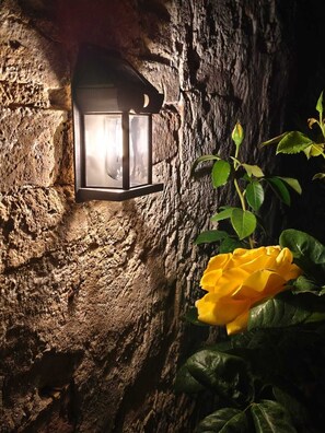 A stone wall with a lantern and a yellow rose.