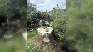 Un jardín con una mesa y sillas, rodeado de plantas en macetas y una pequeña valla.