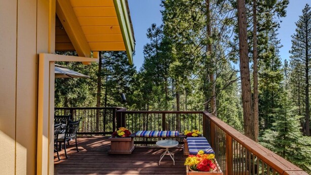 A wooden deck with outdoor furniture, surrounded by tall trees.