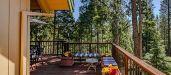 Bear Hollow - Game Loft, A/C, EV & Forest Views