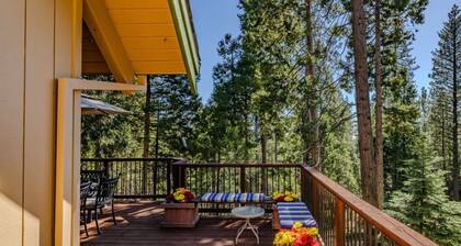 Bear Hollow - Game Loft, A/C, EV & Forest Views
