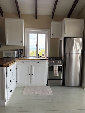 Superior Studio, Sea View, Oceanfront | Private kitchen - soleabythesea (Roatan)