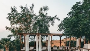 Una piscina rectangular con agua azul cristalina, rodeada por un solárium con baldosas y una estructura de pérgola.