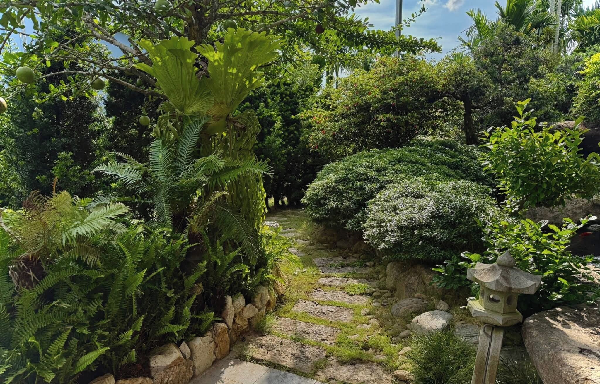 Un jardín con un camino de piedra, abundante vegetación y un farol de piedra.