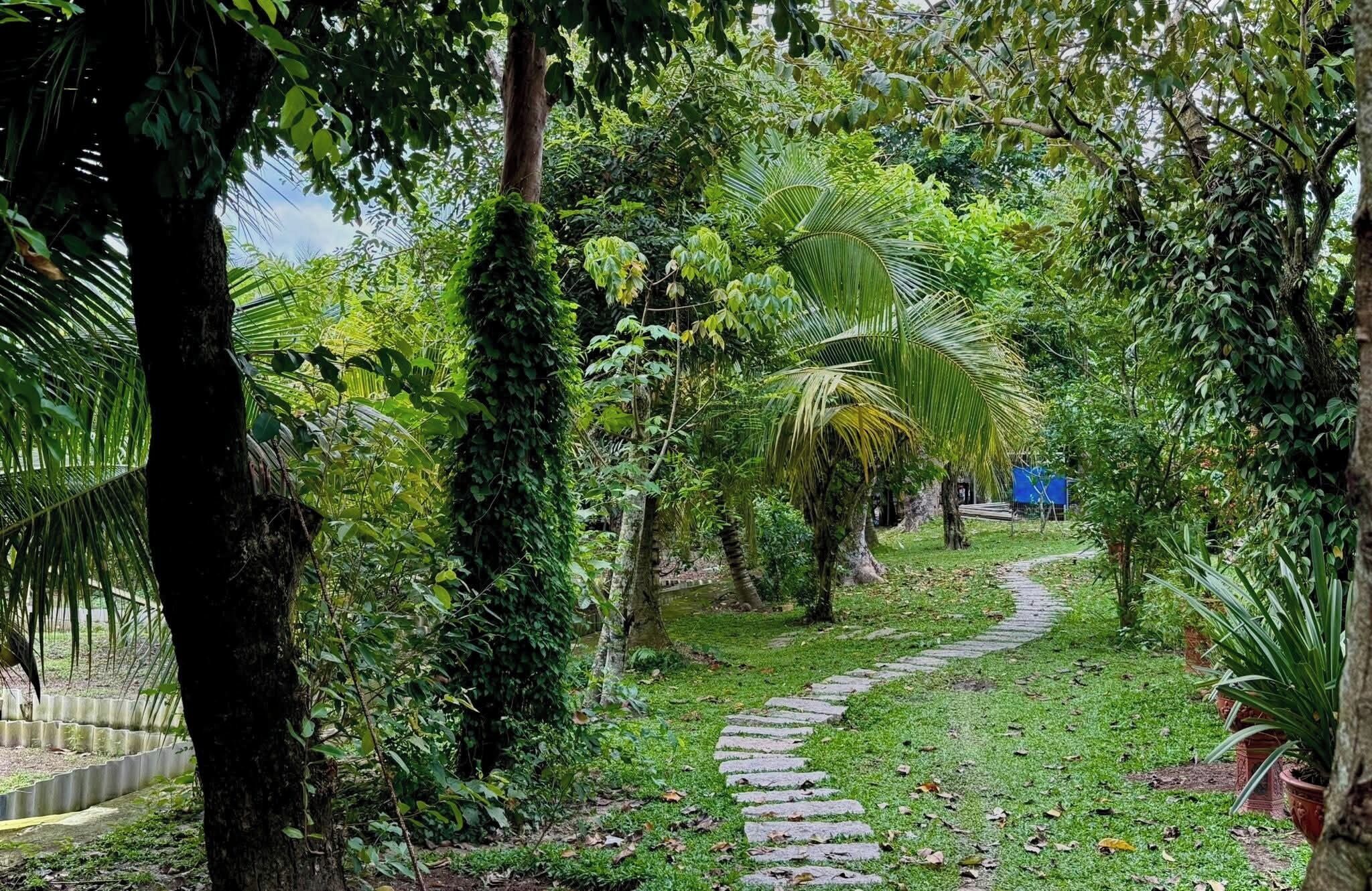 Área da propriedade
