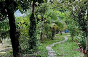 A stone pathway winding through a lush garden with dense foliage and a variety of trees. - Bao Ong Thien Retreat (Thai My Commune)