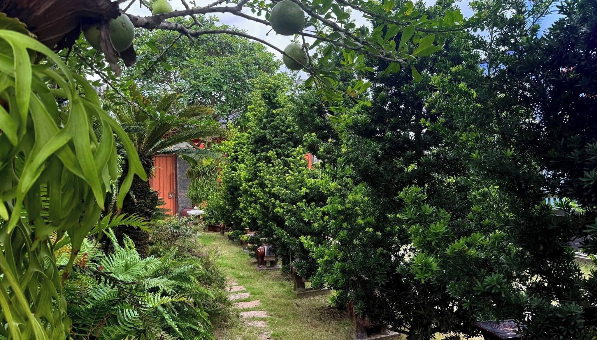 A garden with a pathway, lush greenery, and a red building.
