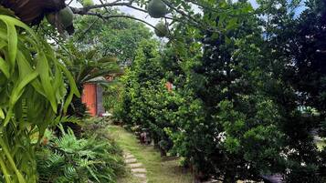 A garden with a pathway, lush greenery, and a red building.
