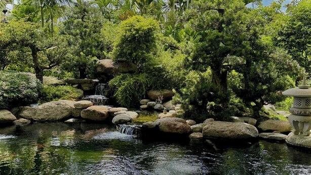 Un jardín tranquilo con una pequeña cascada, rocas y varios árboles.