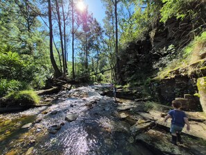Une zone boisée avec un ruisseau, des rochers et un enfant qui marche.