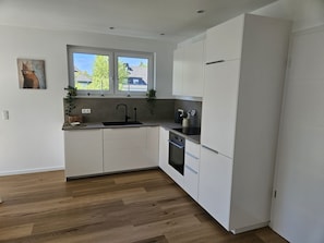 A modern kitchen with white cabinets, a black sink, and a window with a view of houses.