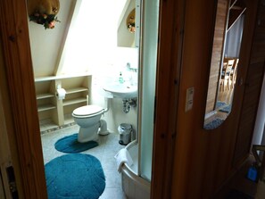 A bathroom with a toilet, sink, and mirror.