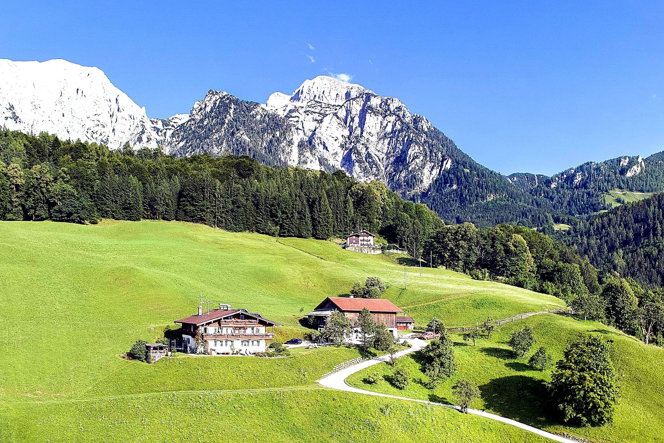 Esterni