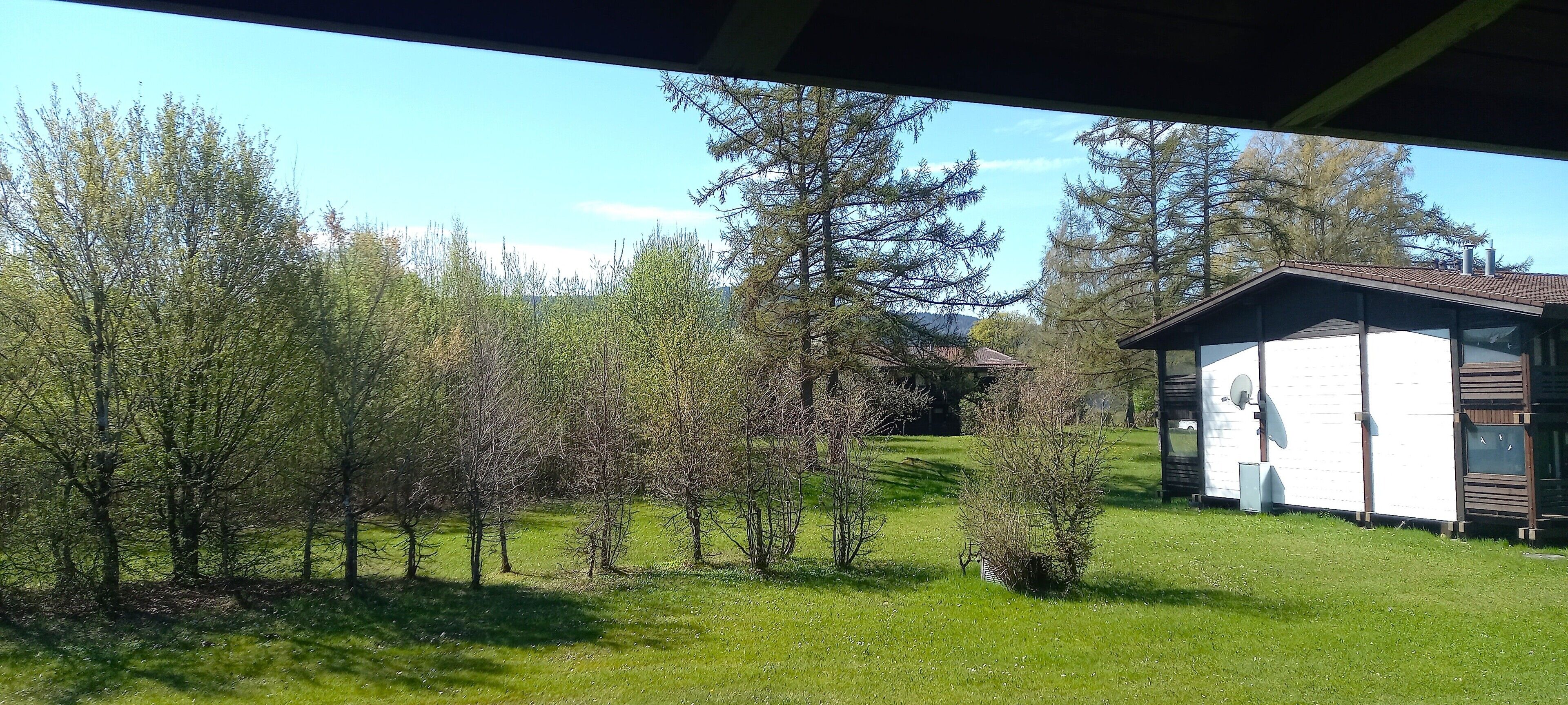 A grassy area with trees and a small building with a satellite dish.