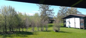 A grassy area with trees and a small building with a satellite dish.