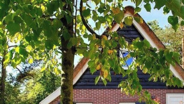 A brick house with a gabled roof, two windows, and a tree in the foreground. - Secret van Otterlo 6 (Otterlo)