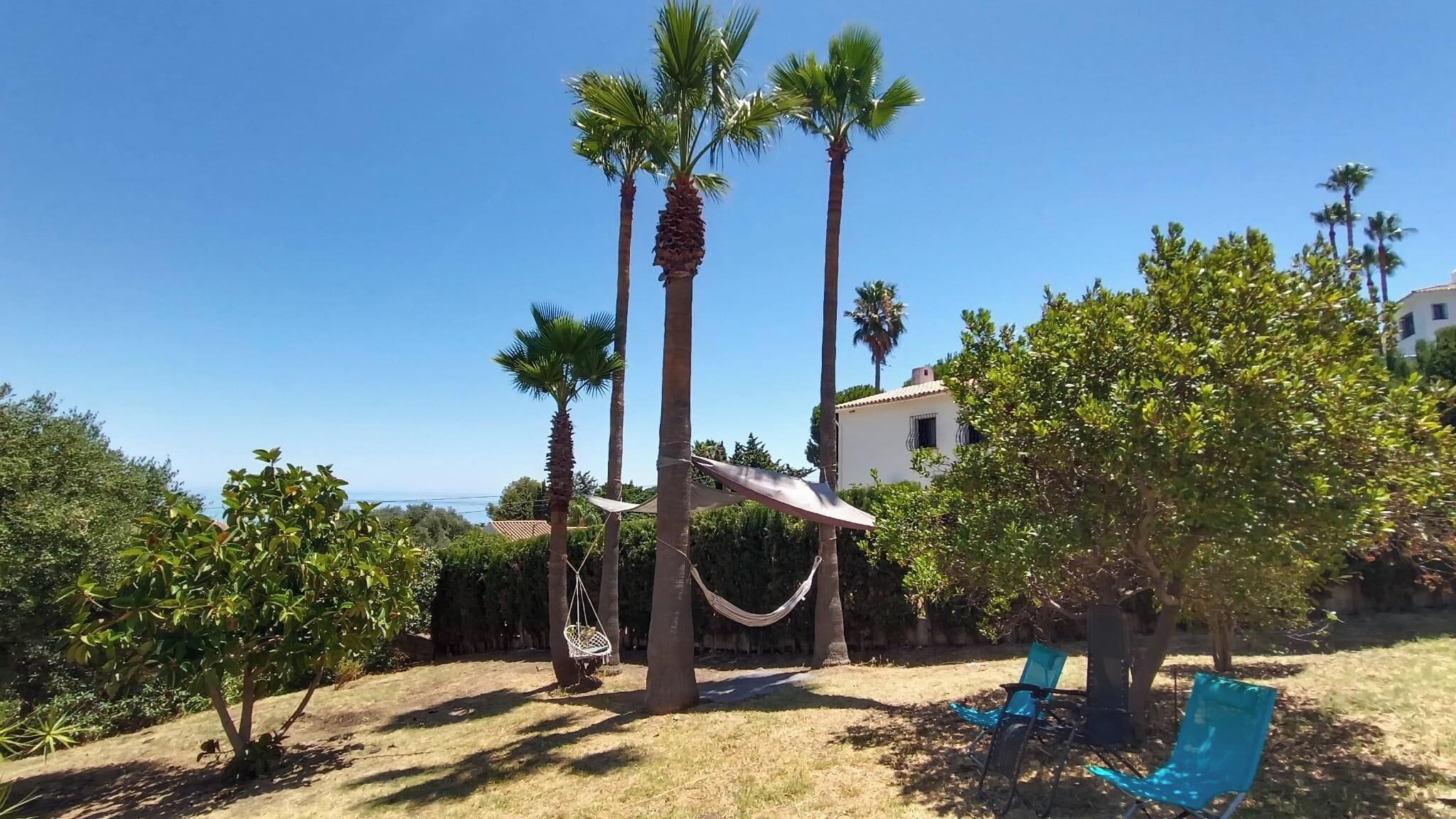 Ein Garten mit Palmen, einer Hängematte und blauen Stühlen.