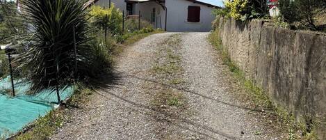 A gravel driveway leading to a house with a red door, surrounded by greenery and a small pool.