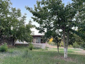A stone wall, a tree, and a building with a red roof. - Escape the noise, hear only nature’s voice (Karacahisar)