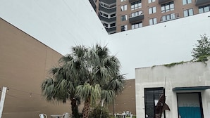 A courtyard with artificial grass, a palm tree, outdoor seating, and a building with a blue door labeled 'studio'. - THE ONLY HOUSE IN CHANNELSIDE BY WATER STREET (Tampa)