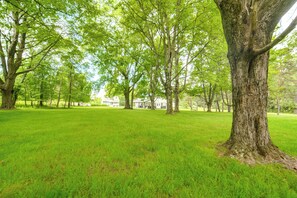 Een park met een grote boom, een grasveld en een gebouw op de achtergrond.
