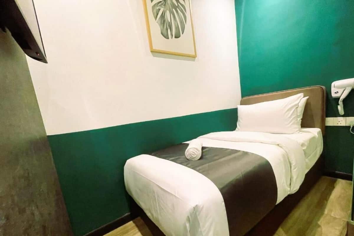 Ein Einzelbett mit weißer Bettwäsche, eine grüne Wand und ein kleiner Topf mit Pflanze an der Wand.