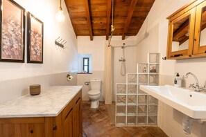 Un bany amb sostre de fusta, dutxa amb panells de vidre, vàter i rentamànega amb armari de fusta.