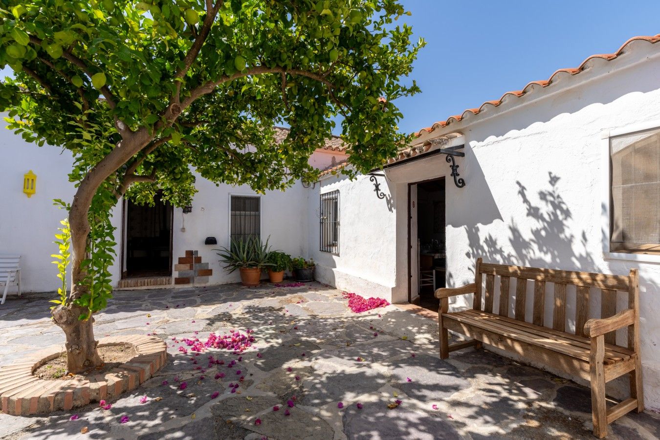 Un patio con un banco, plantas en macetas y un árbol que da sombra.