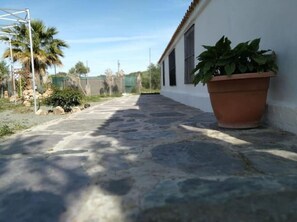 Un sendero pavimentado que conduce a un edificio con una planta en maceta.