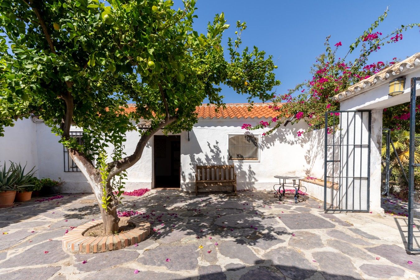 A courtyard with a white building, a tree, a bench, and a table.