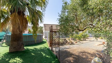 Un espace extérieur clos, doté d’une piscine, d’un palmier et d’une structure en forme de pergola.