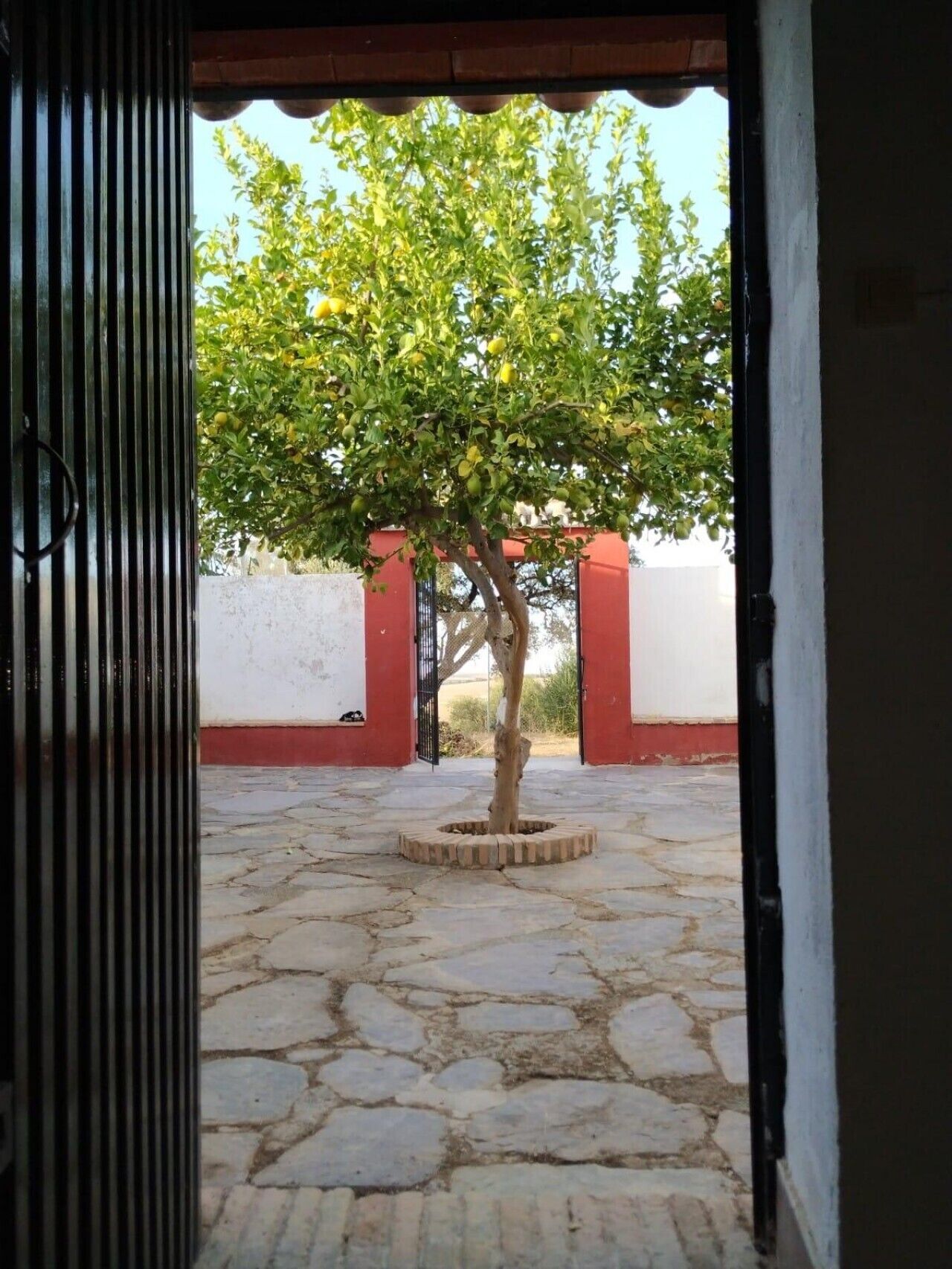 Property grounds