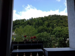 Une vue à travers une fenêtre donnant sur un balcon, avec un arrangement floral et une colline boisée en arrière-plan.