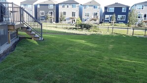 A residential area with a well-maintained lawn, a wooden deck, and a staircase leading to a balcony.