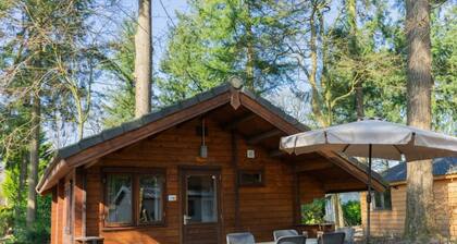 Holiday Home in Maarn With Terrace