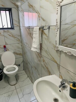 A bathroom with a toilet, sink, and mirror. - Malrose Gueshouse Tours & Safaris (Windhoek)