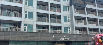 Plott Archive Jeju