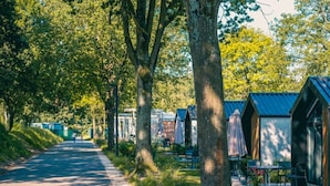 A row of cabins with a paved path leading through a wooded area. - Holiday Home in Kaatsheuvel With Terrace (Kaatsheuvel)