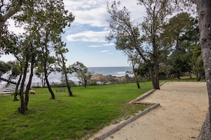 A grassy area with trees and a sandy path leading to a beach. - Stunning waterfront villa with a private beach in CANELLA (Sari-Solenzara)
