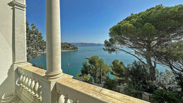 Uma varanda com vista para um mar calmo, uma árvore e a costa distante.