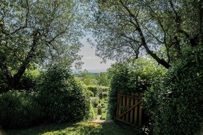 A garden pathway leading to a wooden gate surrounded by lush greenery. - Authentic Tuscan Farmhouse with a Private Pool, Garden, and 7 Bedrooms (Cantagrillo)