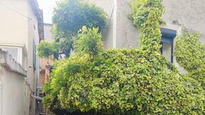 A narrow alleyway with a staircase leading to a building, surrounded by greenery and a manhole cover on the ground.