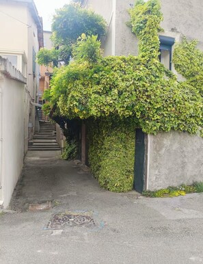 Ein schmaler Gang mit einer Treppe, die zu einem Gebäude führt, umgeben von Grünpflanzen und einem Gulideckel auf dem Boden.