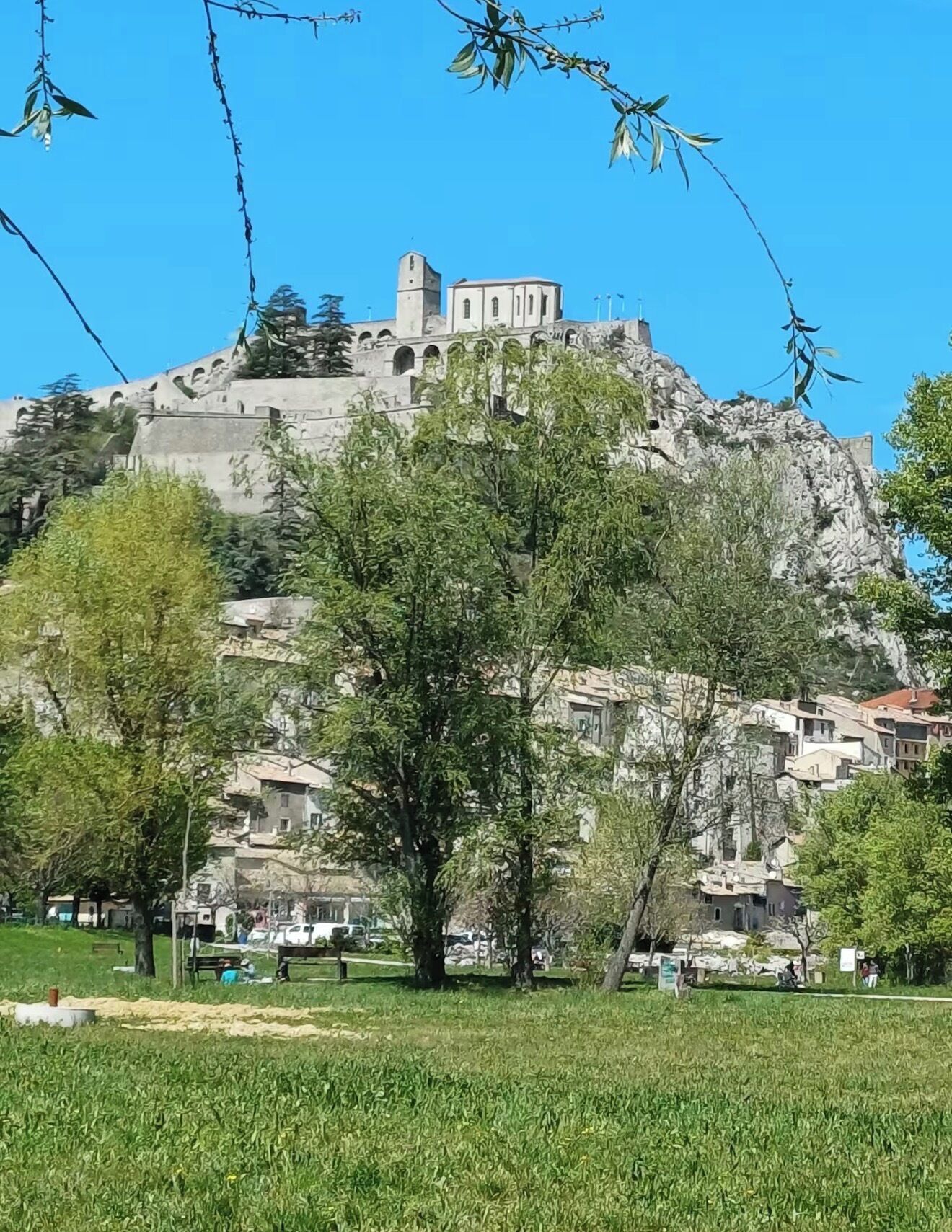 Un edificio histórico con una torre, rodeado de árboles y una zona verde.