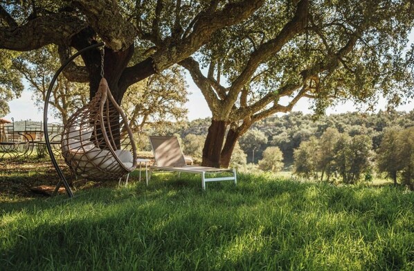 A hammock chair, a lounge chair, and a small table under a large tree in a grassy outdoor area.
