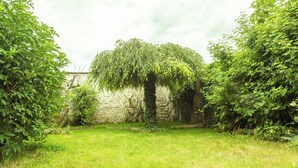 A courtyard with a stone wall, a tree, and lush greenery.