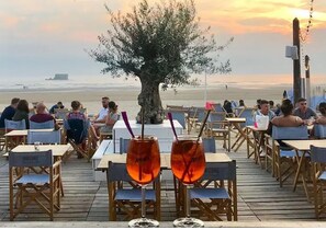 Un espace extérieur aménagé pour les repas, avec des tables et des chaises, un grand arbre et une vue sur la mer.