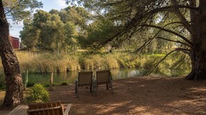 Eine Bank und ein Picknicktisch in einer bewaldeten Gegend mit Teich und Bäumen im Hintergrund.